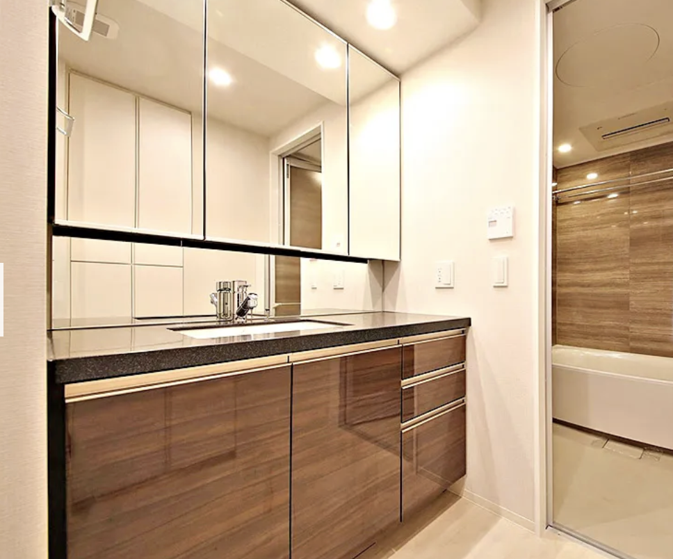 ザ・パークハウス中之島タワーの写真6